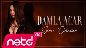 Damla Acar Sarı Odalar Albüm Kapağı