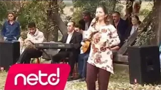 Damla Yıldırım Güloğlan