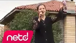 Damla Yıldırım Harmandan Gel