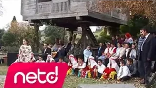 Damla Yıldırım Kına Havası
