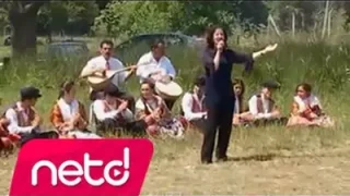 Damla Yıldırım Ordu’nun Dereleri