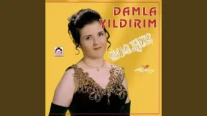 Damla Yıldırım Ordu’nun Işıkları