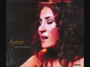 Dar Hejîroke Albüm Kapağı