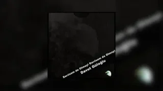 Davut Güloğlu Bir Yolun Kenarında