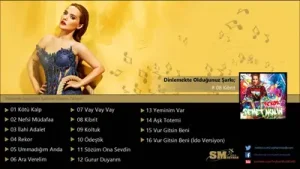 Demet Akalın Kibrit Albüm Kapağı