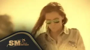 Demet Akalın Sepet Albüm Kapağı