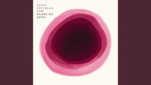 Demir Demirkan Artık Yok
