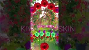 Derdimi Yazdım Bir Kara Taşa Yari Kaptırdım Alıcı Kuşa Albüm Kapağı