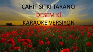 Desem Ki Şiiri Fon Müziği Albüm Kapağı