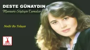 Deste Günaydın Nedir Bu Telaşın Albüm Kapağı