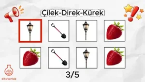 Dil Testi Albüm Kapağı