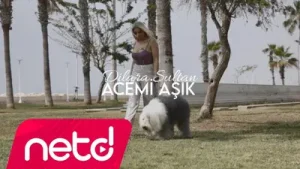Dilara Sultan Acemi Aşık Albüm Kapağı