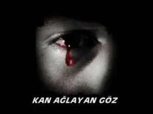 Dilberay Barak Havası Dağlar Kışimiş Albüm Kapağı