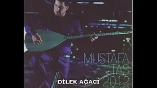Dilek Ağacı