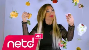 Dilek Aksel Alışamadım Albüm Kapağı