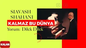 Dilek Dilek Kalmaz Bu Dünya Albüm Kapağı