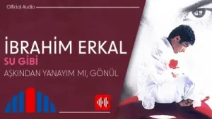 Dilek Şimşek Aşkından Yanam Albüm Kapağı