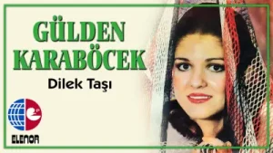 Dilek Taşı Albüm Kapağı