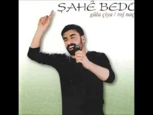 Dilem Loy Loy Albüm Kapağı