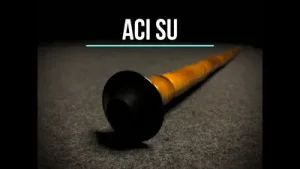 Diriliş Ertuğrul Fon Müziği Ney Albüm Kapağı