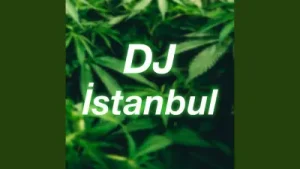 Dj İstanbul Albüm Kapağı