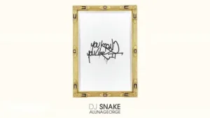 DJ Snake You Know You Like It Ft. Aluna George Albüm Kapağı