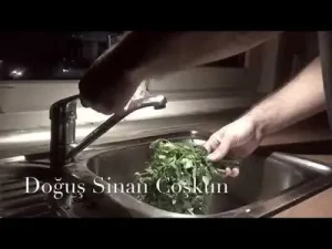 Doğuş Sinan Coşkun Senden Önce Albüm Kapağı