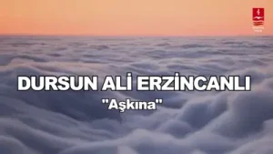 Dursun Ali Erzincanlı Aşkına Albüm Kapağı