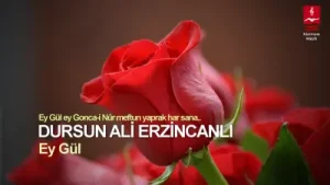 Dursun Ali Erzincanlı Ey Gül Albüm Kapağı