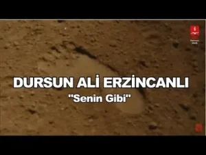 Dursun Ali Erzincanlı Senin Gibi Albüm Kapağı