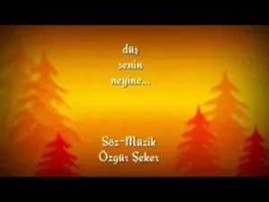 Düş Senin Neyine Beste Özgür Şeker Albüm Kapağı