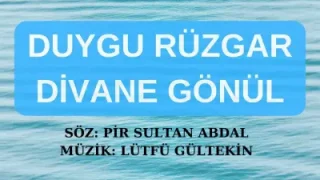 Duygu Rüzgar Divane Gönül