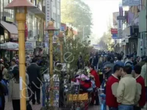 Düzce Oyun Havası Çamlı Köyü Ali İnce Elektro Bağlama Part 1 Albüm Kapağı