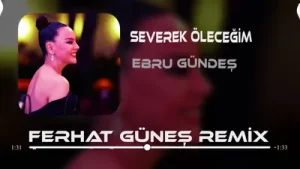 Ebru Gündeş Bin Kere Gelsem Dünyaya Remix Albüm Kapağı