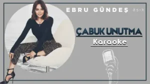 Ebru Gündeş Çabuk Unutma Karaoke Albüm Kapağı