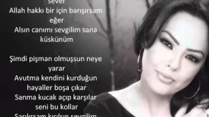 Ebru Gündeş Dahası Var Albüm Kapağı