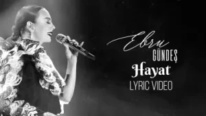 Ebru Gündeş Hayat Remix Albüm Kapağı