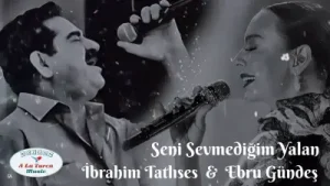 Ebru Gündeş Seni Sevmediğim Yalan Albüm Kapağı