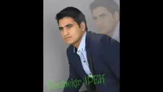 Ebubekir İpek Gidemedim