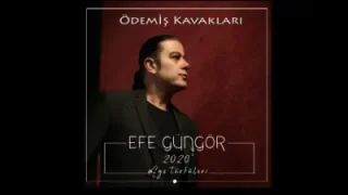 Efe Güngör Ödemiş Kavakları