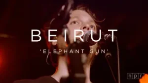 Ekin Beril Elephant Gun