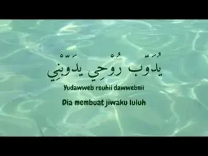 El Watar El Hassas Sherine Latin Lirik Terjemahan Viral Fyp Albüm Kapağı