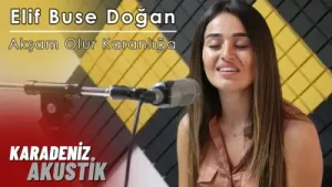 Elif Buse Doğan – Akşam Olur Karanlığa Kalırsın