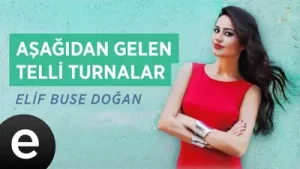 Elif Buse Doğan Aşağıdan Gelen Telli Turnalar Albüm Kapağı