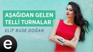 Elif Buse Doğan Aşağıdan Gelen Telli Turnalar