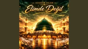 Elimde Değil Albüm Kapağı