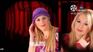 Ellik Ayşegül Pınar Albüm Kapağı