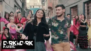 Elmas Aslan Parçası Albüm Kapağı