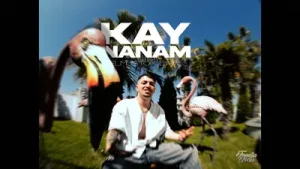 Elmusto Kaynanam Albüm Kapağı