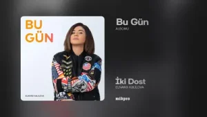 Elnare İki Dost Albüm Kapağı